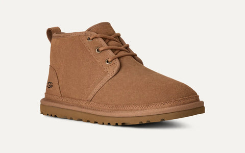 Neumel Chestnut