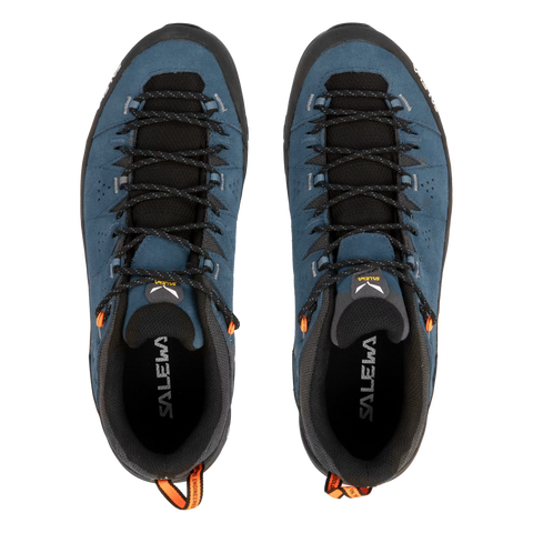 Alp Trainer 2 M Java Blue | Noir