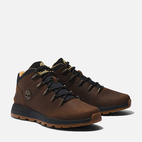 Sprint Trekker Mid Cathay Spice
