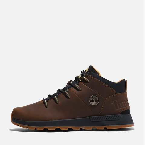 Sprint Trekker Mid Cathay Spice