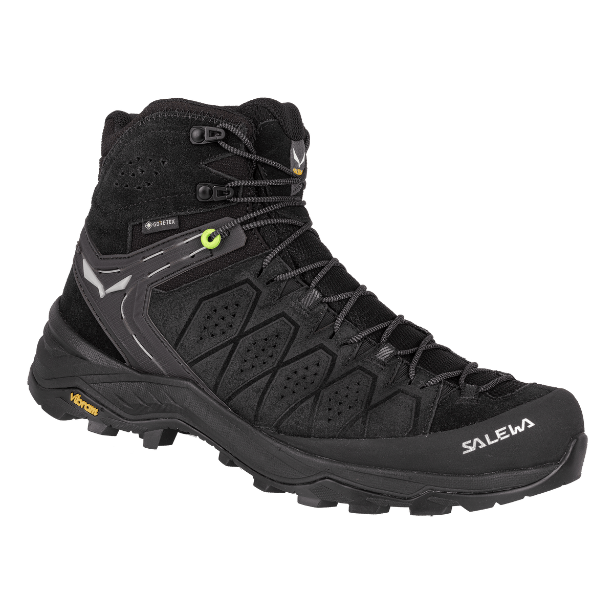 Salewa Alp Trainer 2 Mid GTX