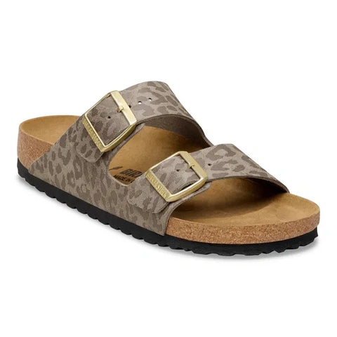 Arizona SYN Gris tourterelle